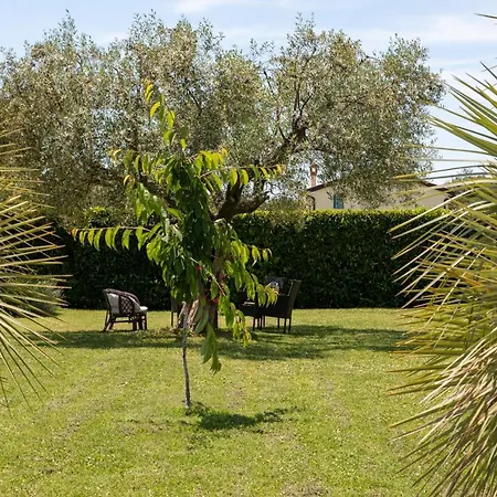 Bed and Breakfast Oasa 3 4*