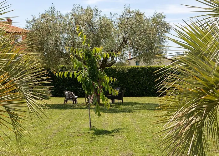 לינה וארוחת בוקר Oasa 2 4*