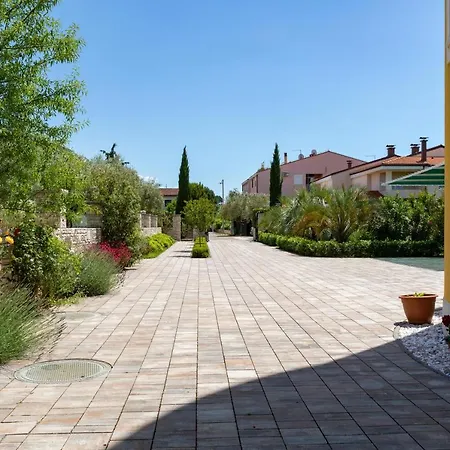 Oasa 3 로비니스코 셀로